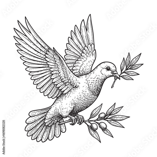 flying dove bird with olive branch