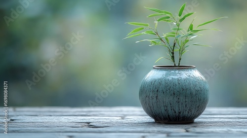 Small bamboo plant in a round, teal ceramic pot, sits on rustic wood. Serene, minimalist scene