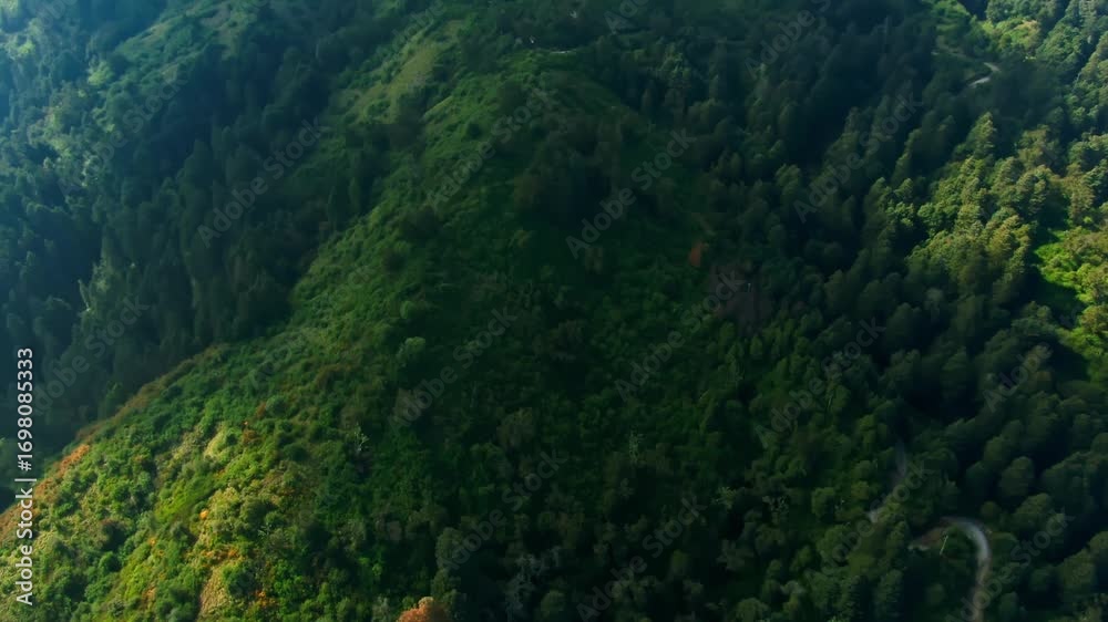 Lush green slopes and forested ridges of Nevado de Colima with a dirt road curving up toward the mountain peak Lush green slopes and forested ridges of Nevado de Colima with a dirt road curving up toward the mountain peak