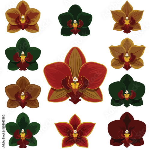 Collection of Colorful Orchid Flower Designs.