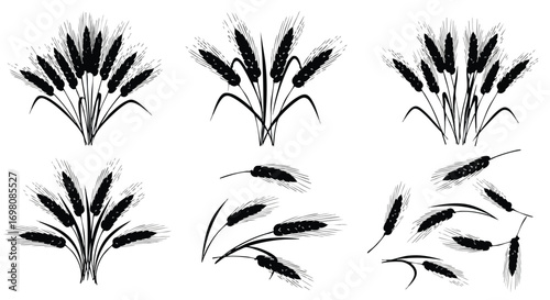 Black silhouette wheat stalks various arrangements.