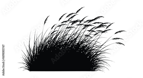 Silhouette of Windblown Grass in a Field.