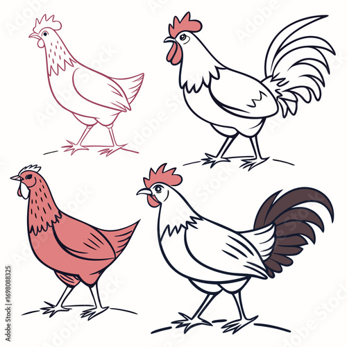 Collection of stylized line art illustrations of roosters and hens in different colors and styles