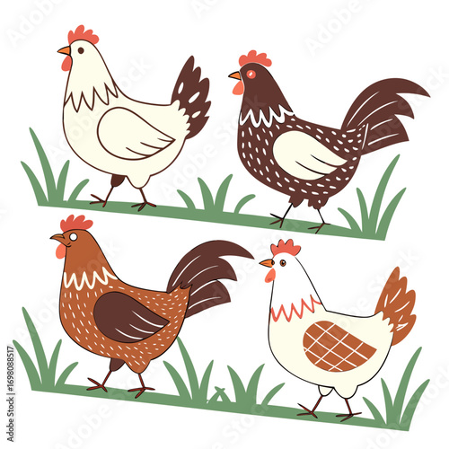 Four cute cartoon chickens and roosters standing in green grass illustration