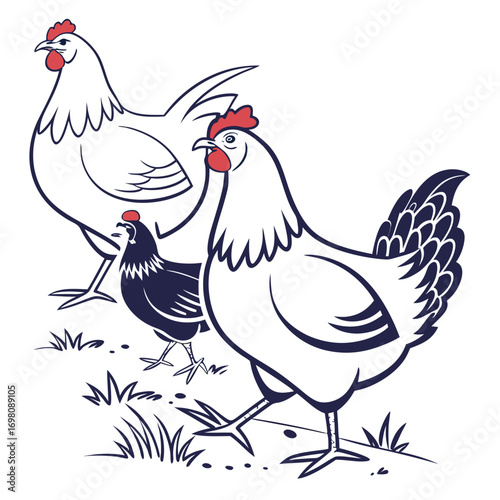 Three stylized chickens with red combs and wattles walking on grass in a simple graphic illustration