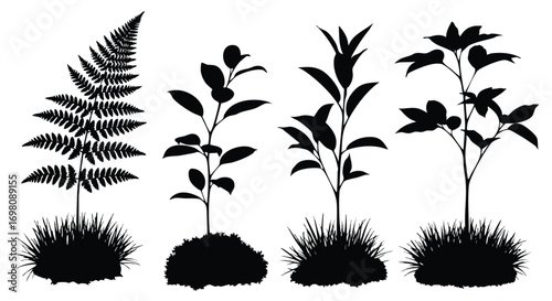 Black Silhouette Of Four Different Plants Growing In The Ground.