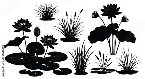 Silhouette of Aquatic Plants - Water Lilies, Cattails, and Grasses.