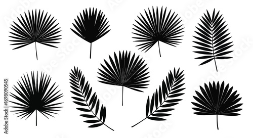 Collection of black tropical palm leaf silhouettes.