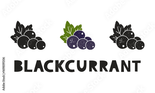Blackcurrant, silhouette icons set with lettering. Imitation of stamp, print with scuffs. Simple black shape and color vector illustration. Hand drawn isolated elements on white background