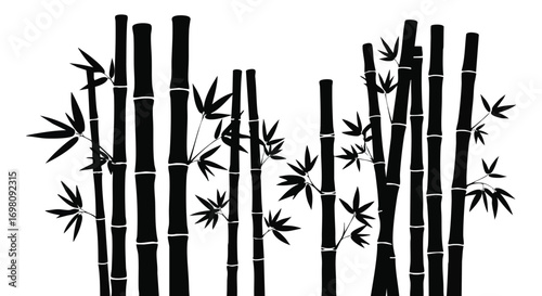 Silhouette of Bamboo Stalks and Leaves Against a White Background.