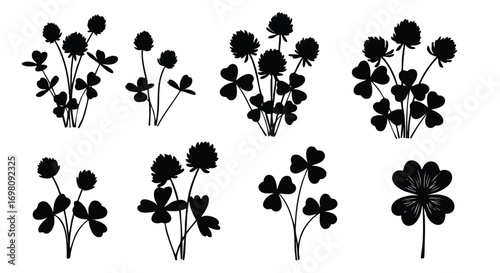 Set of black clover plant silhouettes with flowers and leaves.
