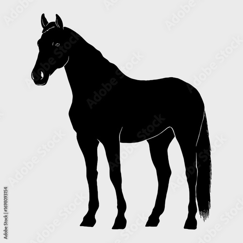 Black silhouette of a horse, vector illustration, white background