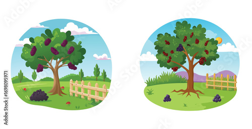 Mulberry tree in rural landscape featuring a broad vector art set design illustration