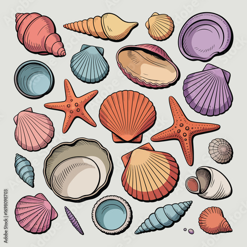 Assortment of Colorful Seashells and Starfish Scattered on a Surface Keywords: seashells
