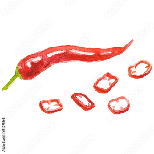 Watercolor painted chili pepper. Hand drawn fresh food design el