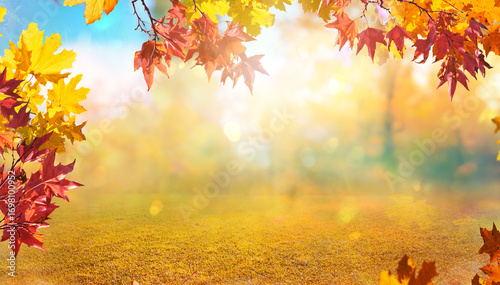 orange fall leaves in forest, autumn natural field background with blurred bokeh and sun rays