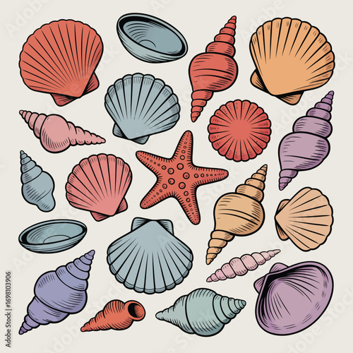 Collection of colorful seashells and starfish on a light background Keywords: seashells