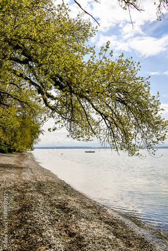 Bevaix, La Pointe du Grain, Neuenburgersee, Seeufer, Uferweg, Wassservögel, Naturschutz, Strand, Kieselstrand, Wassersport, Frühling, Neuenburg, Schweiz