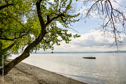Bevaix, La Pointe du Grain, Neuenburgersee, Seeufer, Uferweg, Wassservögel, Naturschutz, Strand, Badestrand, Wassersport, Frühling, Neuenburg, Schweiz