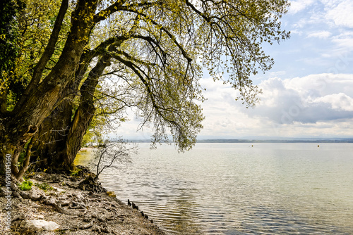 Bevaix, La Pointe du Grain, Neuenburgersee, Seeufer, Uferweg, Wassservögel, Naturschutz, Strand, Wassersport, Frühling, Neuenburg, Schweiz