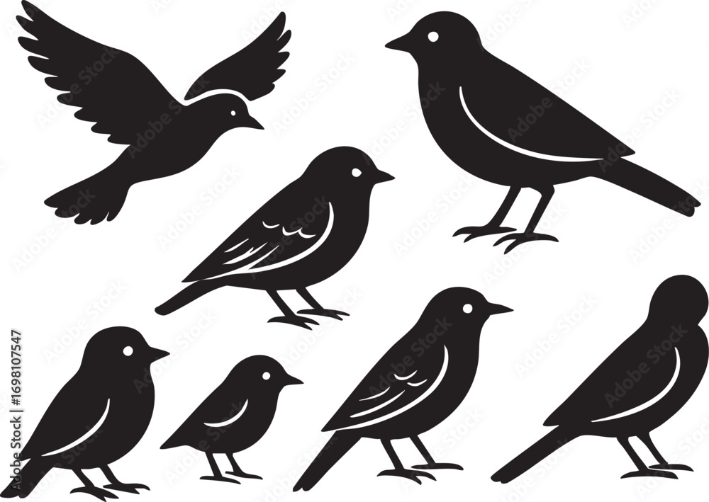 Fototapeta premium Bird Silhouette Vector Set in Black with Flying and Perched Poses for Nature, Wildlife, and Decorative Design Themes