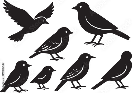 Bird Silhouette Vector Set in Black with Flying and Perched Poses for Nature, Wildlife, and Decorative Design Themes