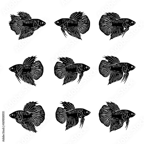 Set of betta fish in vector illustration