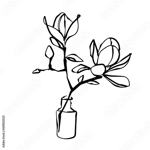Magnolia Flowers Hand Drawn Illustration Trendy Line Art Style. Floral Line Art Template for Poster, Print, Social Media, Wallpaper. Magnolia Flowers Minimalist Vector Illustration.