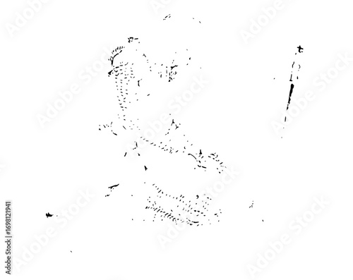 Majestic falcon soars with intense gaze, a symbol of freedom and power, originally a scalable vector graphic
