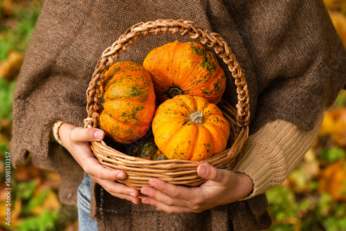 Orange mini pumpkins in a basket in the hands of a child with dry fall leaves. Fresh organic food, closeup. Autumn season.