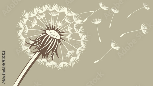 Dandelion flower blowing in the wind vector illustration spring summer nature art design