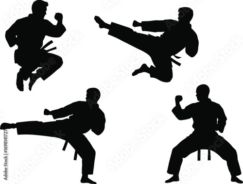 Dynamic martial arts silhouette set showcasing powerful kicks and stances for combat sports.