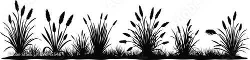 grass plants in silhouette style on transparent background