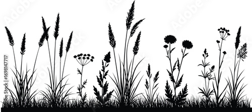wild grasses and flowers in silhouette on transparent background