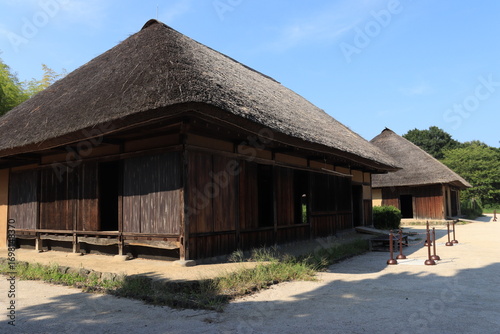 国営ひたち海浜公園