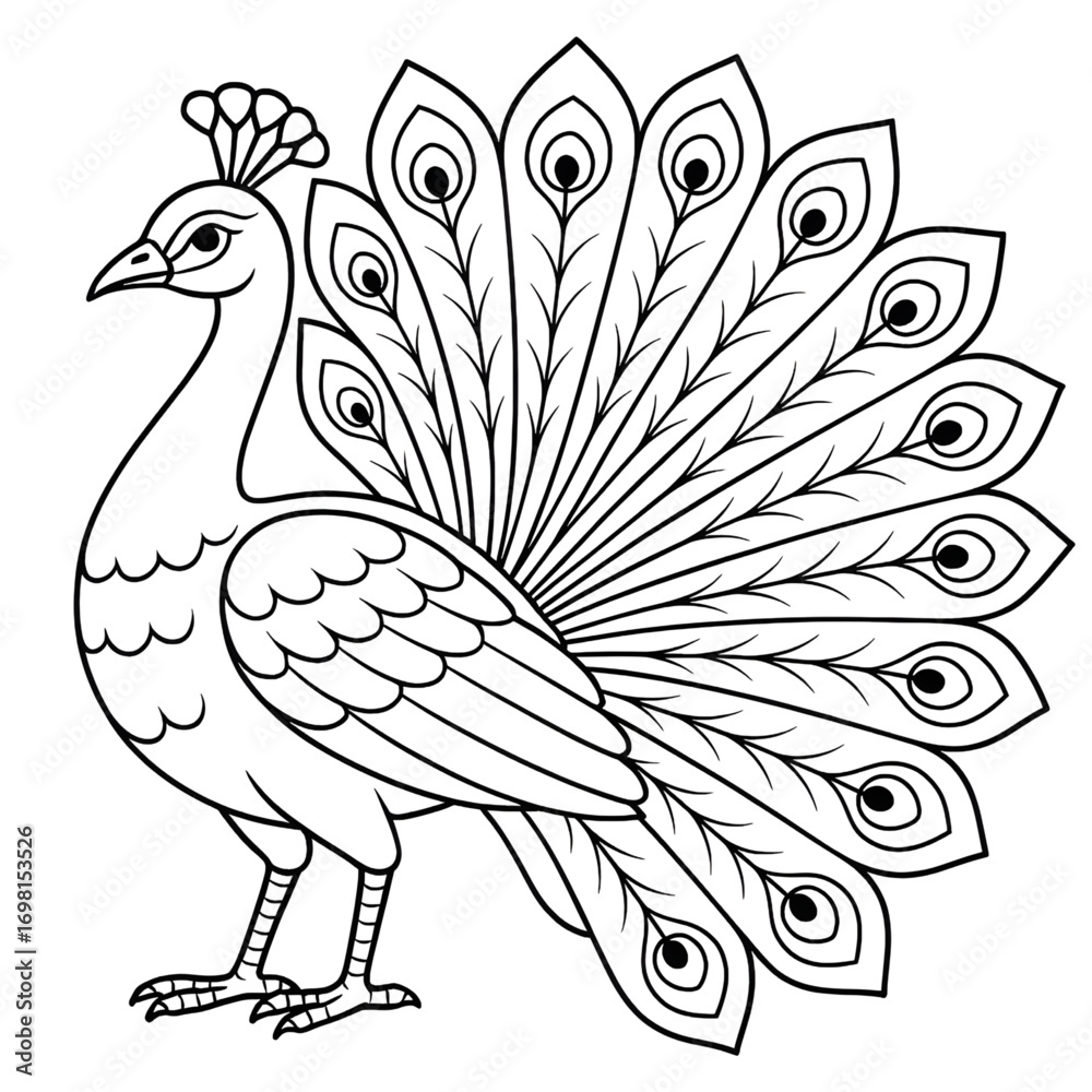Fototapeta premium A peacock illustration vector style coloring page