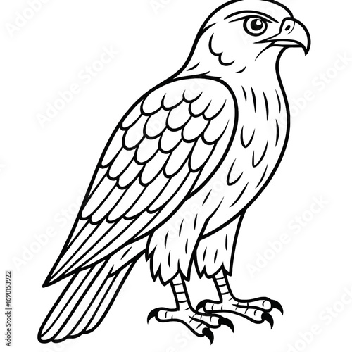 A hawk illustration vector style coloring page