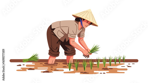 Rice Farmer Planting Seedlings: A farmer, clad in traditional attire, meticulously plants rice seedlings in a flooded paddy field.
