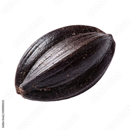 Wallpaper Mural Close-up of a dark, oblong seed.  Its smooth, dark brown surface has subtle ridges and texture.  It's sharply in focus against a black background Torontodigital.ca