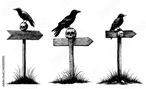 Ravens perched on skulls atop weathered signposts in a gothic illustration