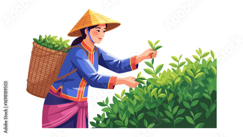 Tea Picker in the Field: A hardworking individual is meticulously harvesting tea leaves in a verdant field. The sun casts a gentle glow. 