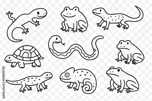 Reptile and amphibian outline icon set. turtle, frog, lizard, snake line graphics
