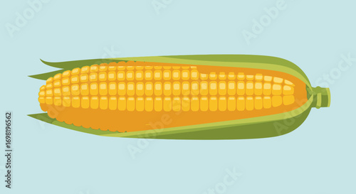 Fresh Corn on the Cob Still Life Isolated Vector Image