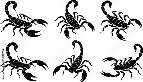 Set of scorpion silhouettes, vector illustration, venomous arachnid collection, different crawling poses, isolated on white background.