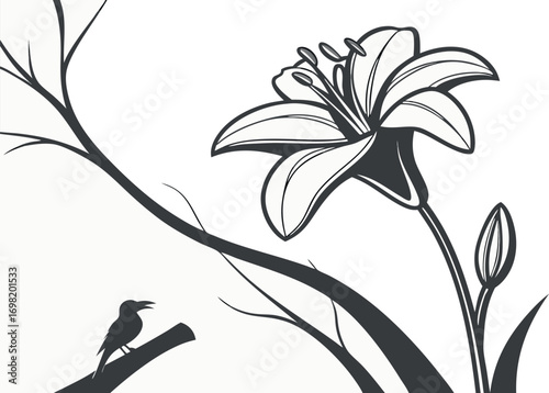 Lily Flower and Bird Line Art