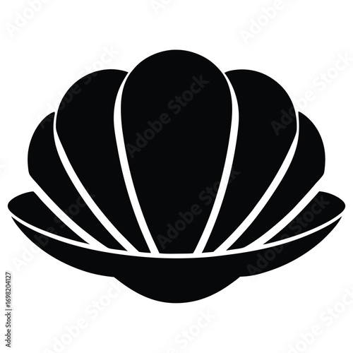 shell  clam  vector icon