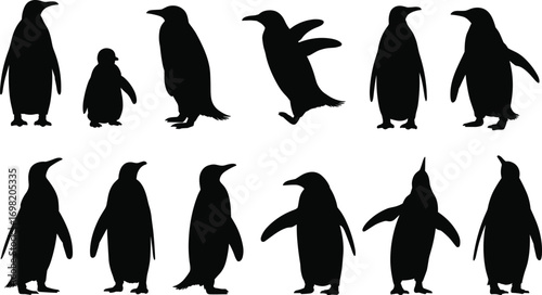 Penguin silhouette vector collection with different poses, Antarctic bird design, wildlife animal illustrations, black penguin shapes, walking and standing penguin artwork.