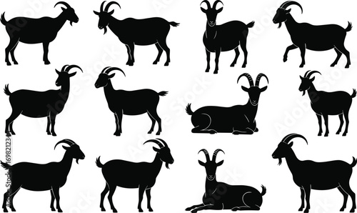 Silhouette collection of goat illustrations in different poses, farm animal vector set, livestock graphic design, black goat shapes, editable design.