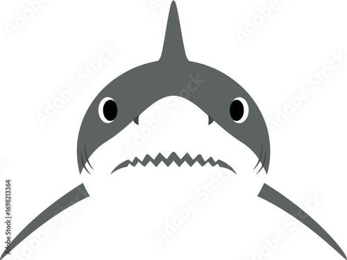 Simple Minimalist Style Great White Shark Front View Illustration Graphic