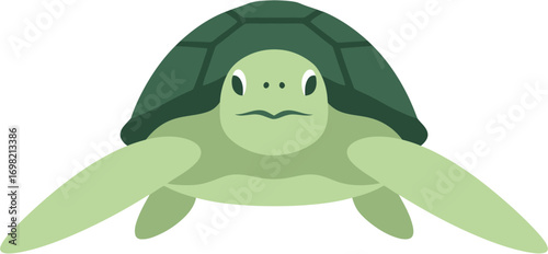 Simple Flat Illustration of Green Sea Turtle Aquatic Animal Marine Wildlife